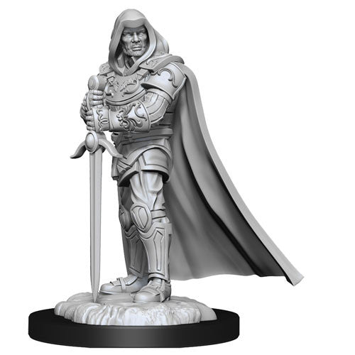 D&D Nolzur's Marvelous Miniatures: Male Human Paladin